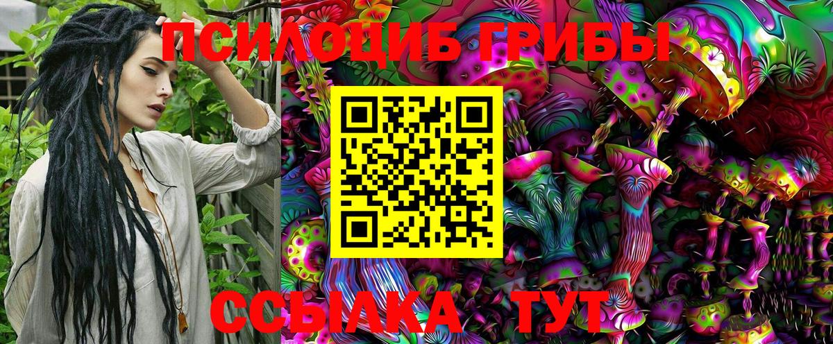 Псилоцибиновые грибы MAGIC MUSHROOMS  Вход с VPN  купить   Знаменск 